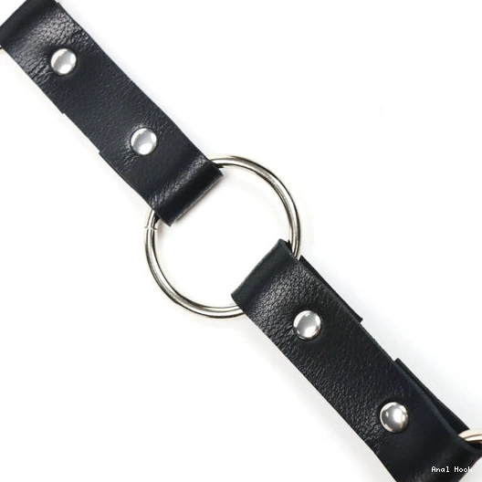 5853 EverydayUse Anal Collar Kinky Hook Leash with and 1027